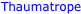 Thaumatrope